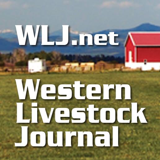livestock news